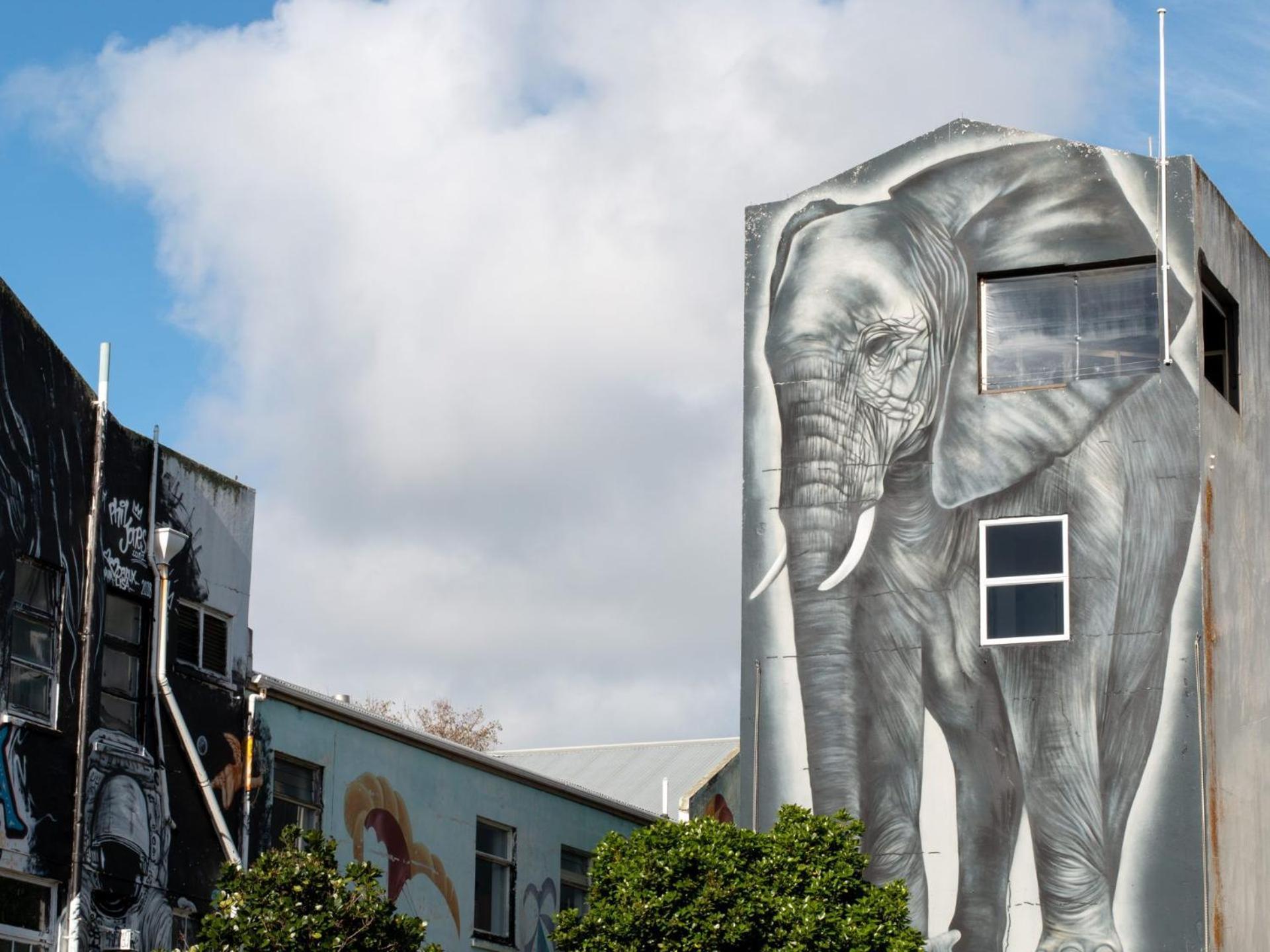 Stay Central The Loft New Plymouth Exteriör bild